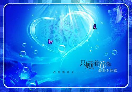 17会计应聘简历范文