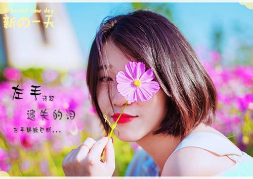 桀骜虔徒结局+番外最新小说（沈津南林听）全文阅读