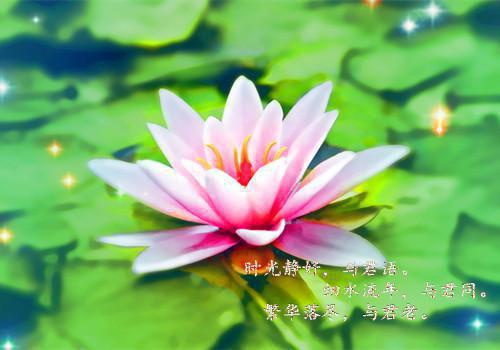 热推新书温璃顾礼熔小说全文（温璃顾礼熔）全文免费阅读_温璃顾礼熔最新章节热文在线阅读