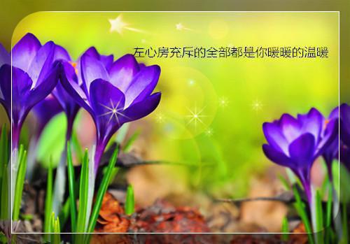 陆总别跪了，夫人和小鲜肉去跳舞了最新章节_陆总别跪了，夫人和小鲜肉去跳舞了全文免费阅读