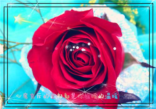 离婚后全京城的霸总都在追求我（沈希宁裴璟琛）全文免费阅读无弹窗大结局_（沈希宁裴璟琛）沈希宁裴璟琛最新章节列表（离婚后全京城的霸总都在追求我）