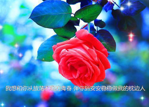 优秀好看的现代童话故事