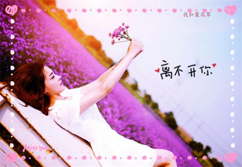 江秋歆霍宇恒(江秋歆霍宇恒)全文免费阅读无弹窗大结局_ (江秋歆霍宇恒小说免费阅读)最新章节列表（江秋歆霍宇恒）