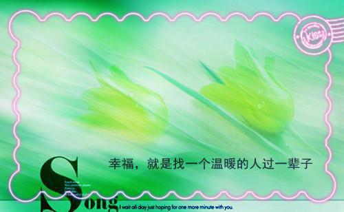 绝爱殇情最新章节_绝爱殇情全文免费阅读