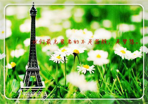 誓言桑田，旧爱枯萎最新章节_誓言桑田，旧爱枯萎全文免费阅读