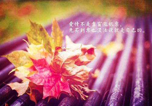 名人励志故事精选大全