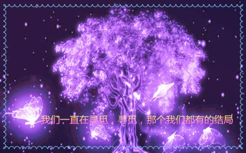 英语成功故事