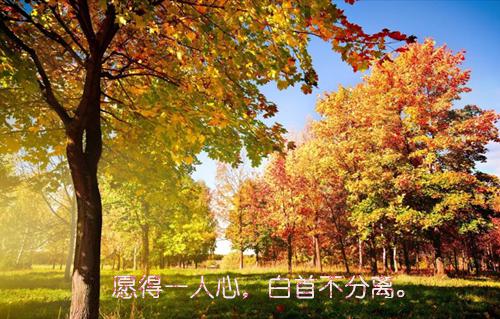 成语故事大全英文版