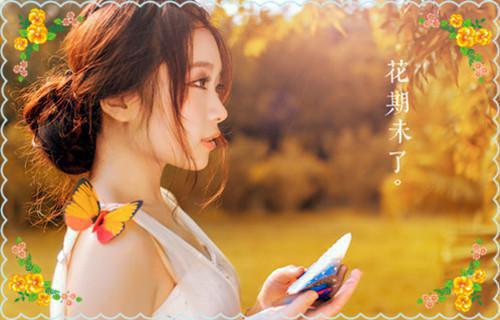在职场中应该安逸的生活吗