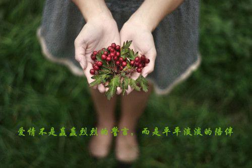 开心自游小说全文免费阅读(林佑宁周淼)全文在线林佑宁周淼读无弹窗大结局_(开心自游小说林佑宁周淼)开心自游小说在线林佑宁周淼读无弹窗最新章节列表(林佑宁周淼)