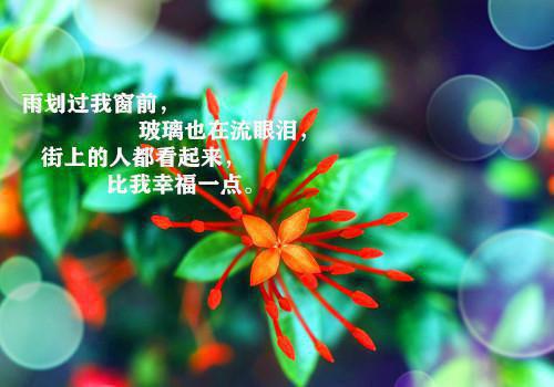 空白表格求职简历模板下载