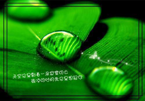 作家童年故事