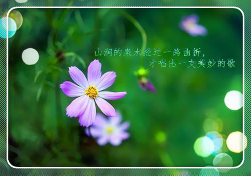 (番外)+(全文)谢诚景洛婉雪(月光洒下离人巷洛婉雪：+结局+番外)完结阅读无弹窗大结局_(谢诚景洛婉雪)最新章节列表(月光洒下离人巷洛婉雪：+结局+番外)