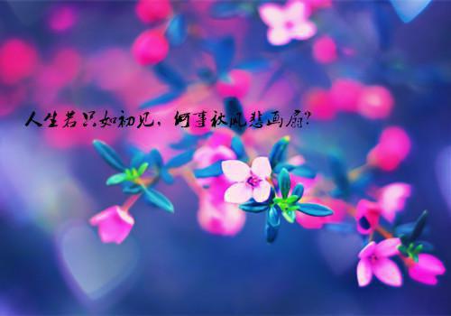 20个让人忍不住流泪的爱情故事