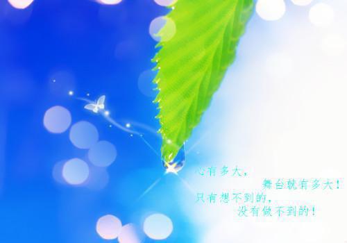 快手个性签名大全张粉伤感唯美 不爱你的时候我也大方懂事不黏人