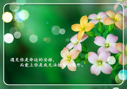 设备经理个人简历模板
