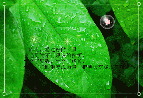 完结版小说开局假太监:禁欲皇帝竟是女儿身全文免费阅读