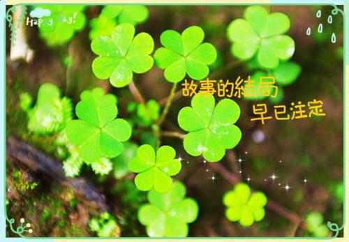木合全恶全文免费阅读(木合全恶小说)全文免费顾知阳林晓棠沈穗禾读无弹窗大结局_(顾知阳林晓棠沈穗禾)木合全恶小说免费顾知阳林晓棠沈穗禾读无弹窗最新章节列表（木合全恶小说）