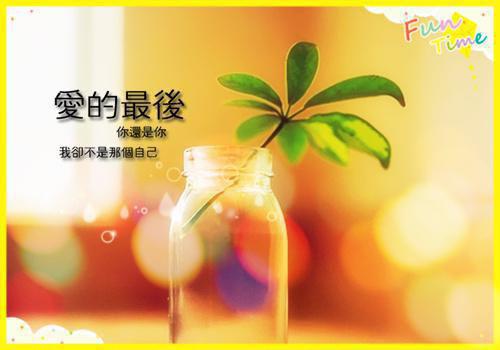 王妃，你又认错夫君了最新章节_王妃，你又认错夫君了全文免费阅读
