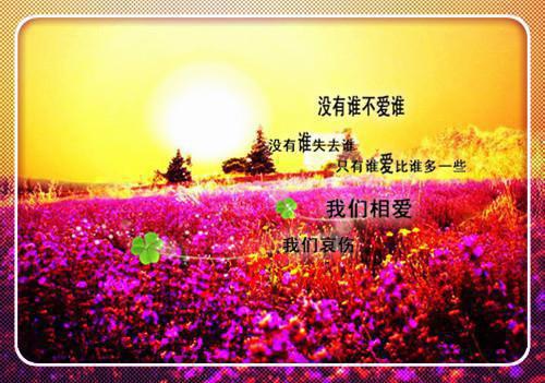 苏瑾霖徐沐苒（重生七零：炮灰老公靠高考逆袭）结局+番外免费品鉴_（重生七零：炮灰老公靠高考逆袭）苏瑾霖徐沐苒+后续评价五颗星