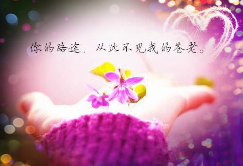 江亦池擎最新章节_江亦池擎全文免费阅读