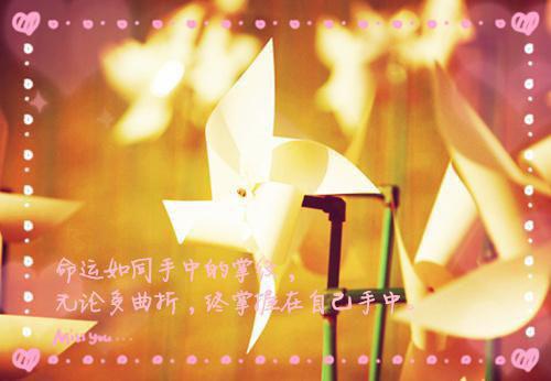 夏之情苏凉最新章节_夏之情苏凉全文免费阅读