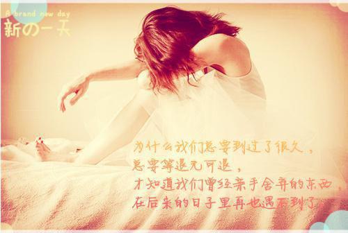 2023专业会计简历范文