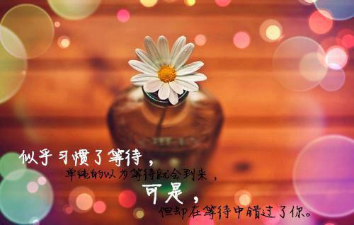 完结文江月年年人不还：许愿沈默渊最新章节列表_完结文江月年年人不还：许愿沈默渊全文阅读
