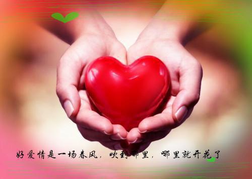 沈微微官佳的小说 沈微微官佳全文免费阅读