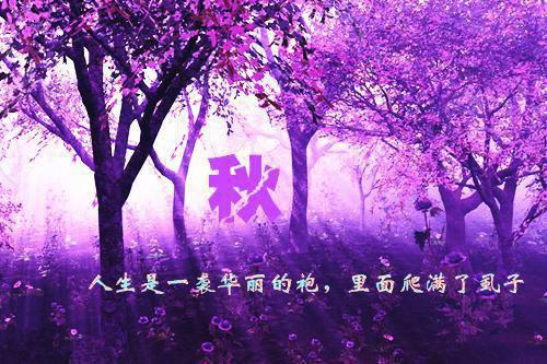 十里红妆盼君归最新章节_十里红妆盼君归全文免费阅读