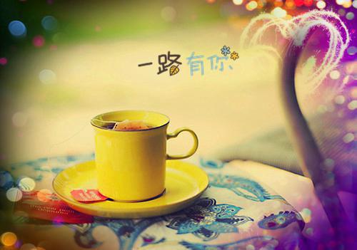 豪门虐情：总裁的白月光回来了最新章节_豪门虐情：总裁的白月光回来了全文免费阅读