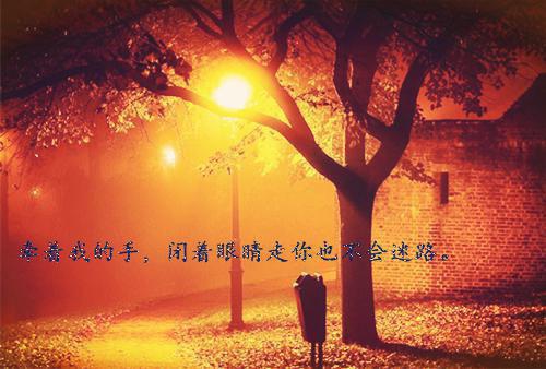 农门悍女：娶个王爷来种田最新章节_农门悍女：娶个王爷来种田全文免费阅读