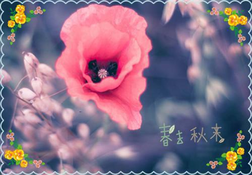 书籍是人类进步的阶梯