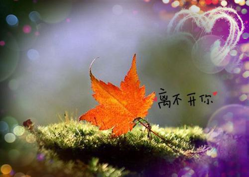 都离婚了，你还纠缠什么：结局+番外+完结（封庭深容辞）全文免费阅读无弹窗大结局_都离婚了，你还纠缠什么：结局+番外+完结最新章节列表（封庭深容辞）