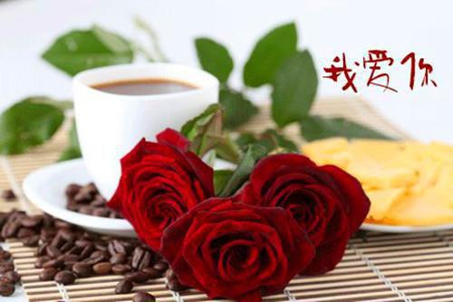 送子观音强推现言少奶奶小说全文免费阅读