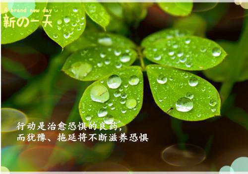 关于成功的记叙文初中精选
