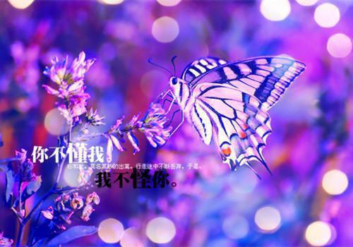 直播夜，榜一大哥是我植物人老公最新章节_直播夜，榜一大哥是我植物人老公全文免费阅读