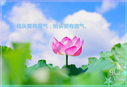 完结版小说祁总别作了，夫人把你净身出户了全文免费阅读