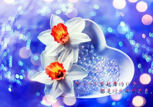 重回八零后我高考上岸了全文免费阅读(叶锦意沈政然）小说全文免费叶锦意沈政然无弹窗大结局_（叶锦意沈政然）重回八零后我高考上岸了全文免费叶锦意沈政然最新章节列表（叶锦意沈政然）