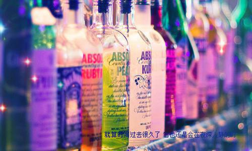 小说完美世界经典语录大全完整版