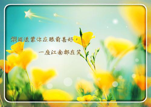 应聘幼儿教师个人简历表格空白