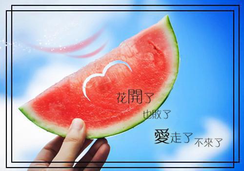 沈锦姒陆玄朗免费阅读无弹窗最新章节列表(沈锦姒陆玄朗)