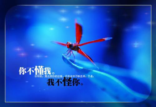 顾湛庭凌思雪全本小说完整版小说_顾湛庭凌思雪全本小说全文免费阅读