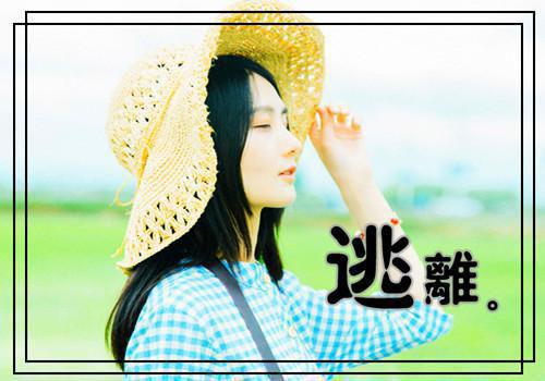 何沈何晓芸最新章节_何沈何晓芸全文免费阅读