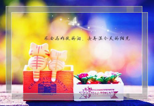 封夜寒小说全文 封夜寒小说免费阅读大结局