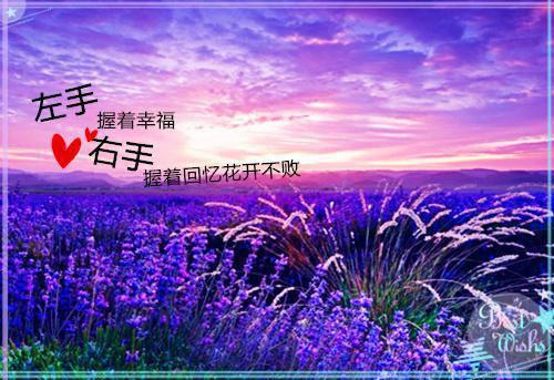 励志电影蚁族的奋斗观后感