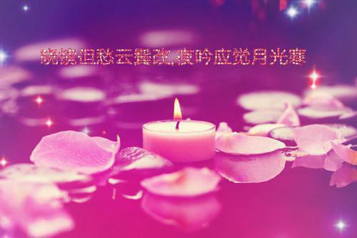 实习生通用英文简历模板