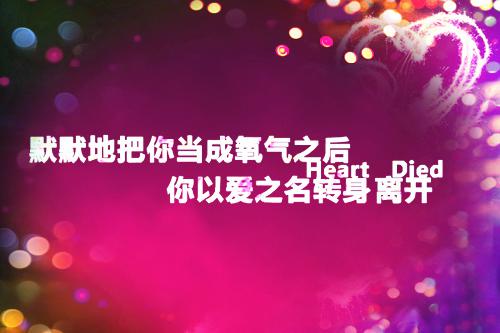 会计文员岗位求职简历模板