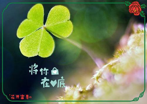 2023大学生个人简历模板范文