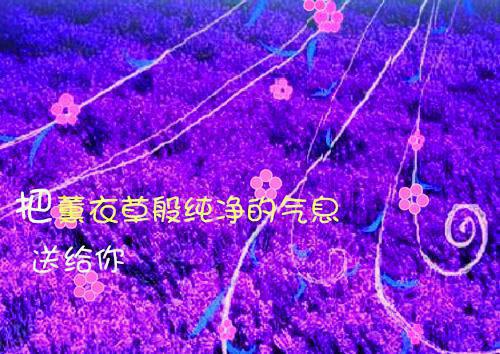 全网独家(大雾尽起，爱意皆散：全文+后续)慕晚凉何哲远李宇完整章节已完结阅读_大雾尽起，爱意皆散：全文+后续最新章节列表（慕晚凉何哲远李宇）